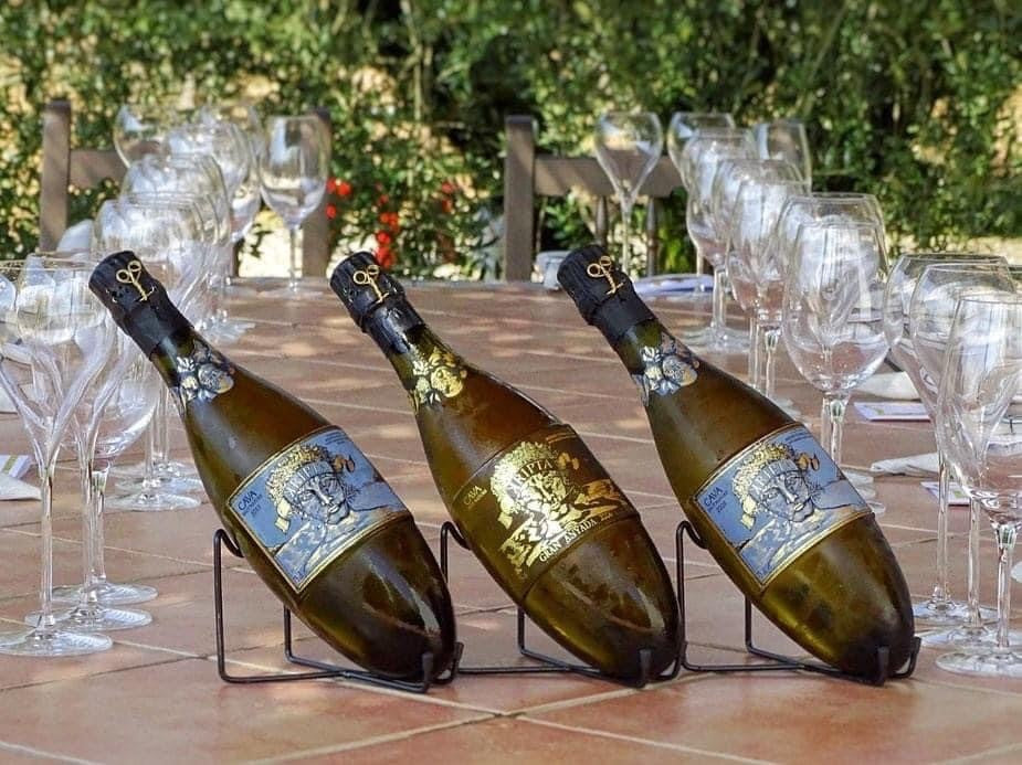 Cava In Store Images Cava kopen? | Brut & Rosé Cava – Cavastore.nl