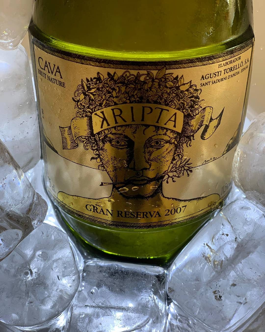 fles cava brut nature gran reserva in een bak met ijs waar de label goed in beeld is